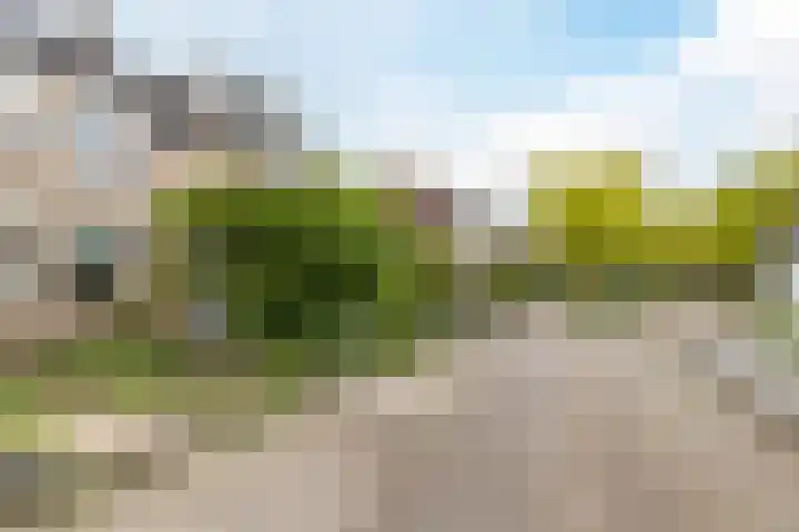 Europastraat 36 Dinteloord thumbnail 52