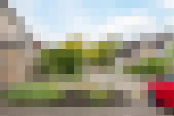 Europastraat 36 Dinteloord thumbnail 53