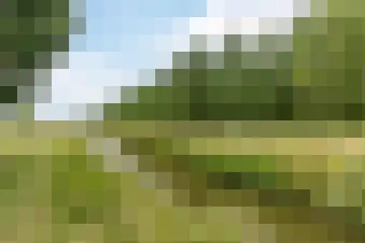 Europastraat 36 Dinteloord thumbnail 55