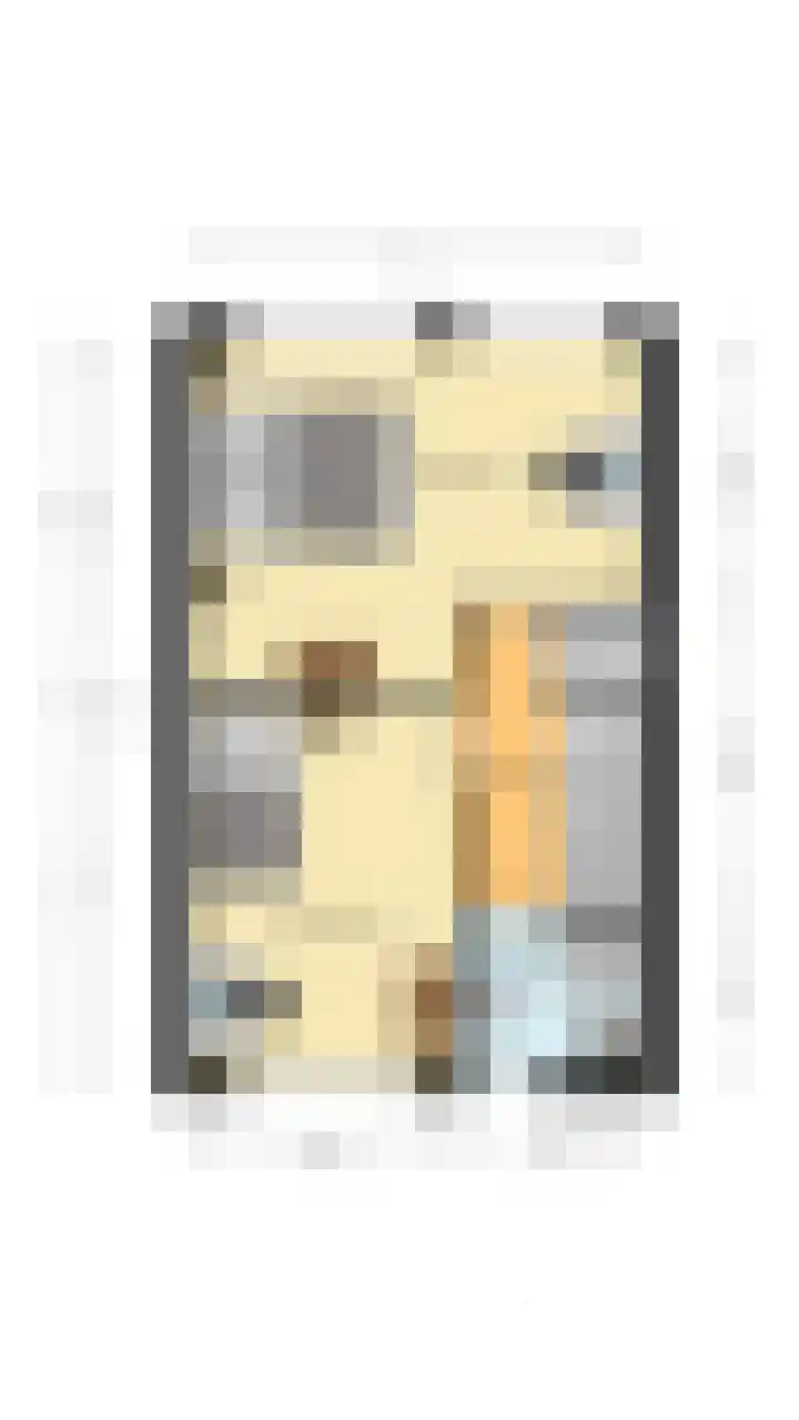 Europastraat 36 Dinteloord thumbnail 57