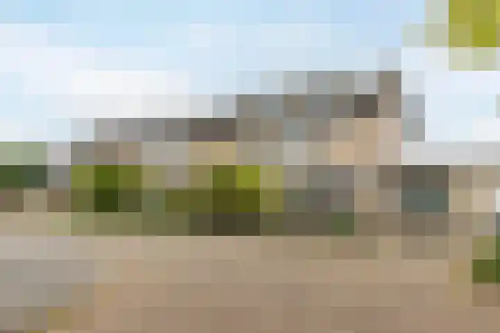 Europastraat 36 Dinteloord thumbnail 6