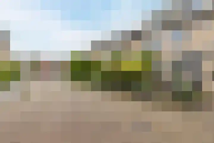 Europastraat 36 Dinteloord thumbnail 7