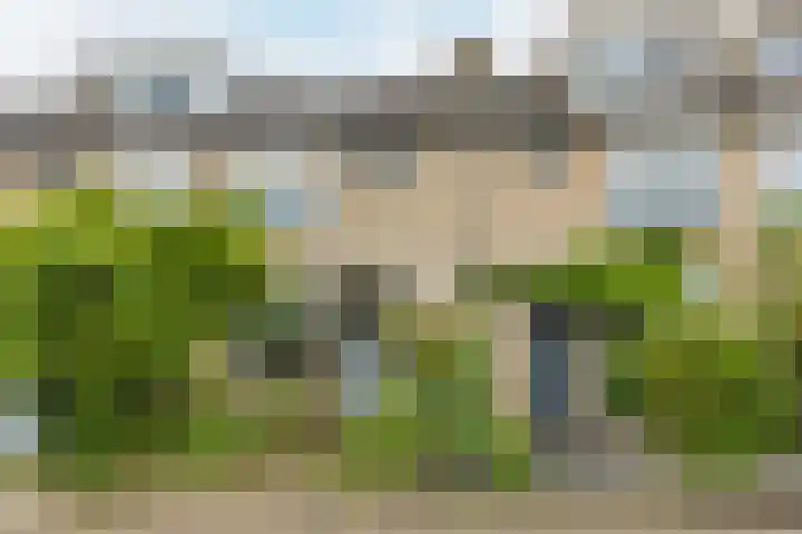 Europastraat 36 Dinteloord thumbnail 9