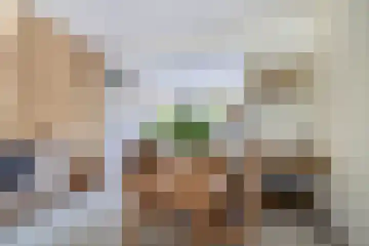 Europastraat 4 Krommenie thumbnail 12