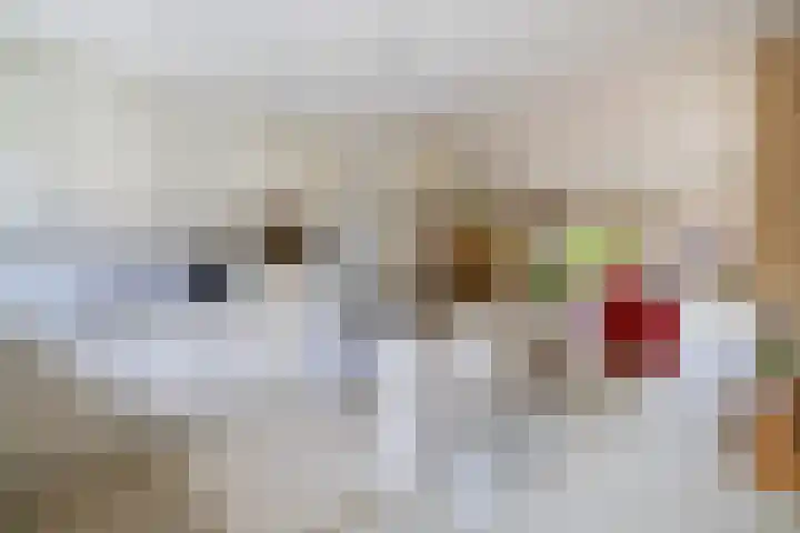 Europastraat 4 Krommenie thumbnail 13