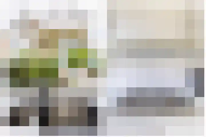 Europastraat 4 Krommenie thumbnail 15