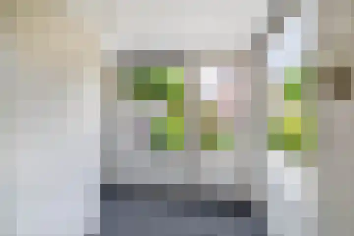 Europastraat 4 Krommenie thumbnail 16