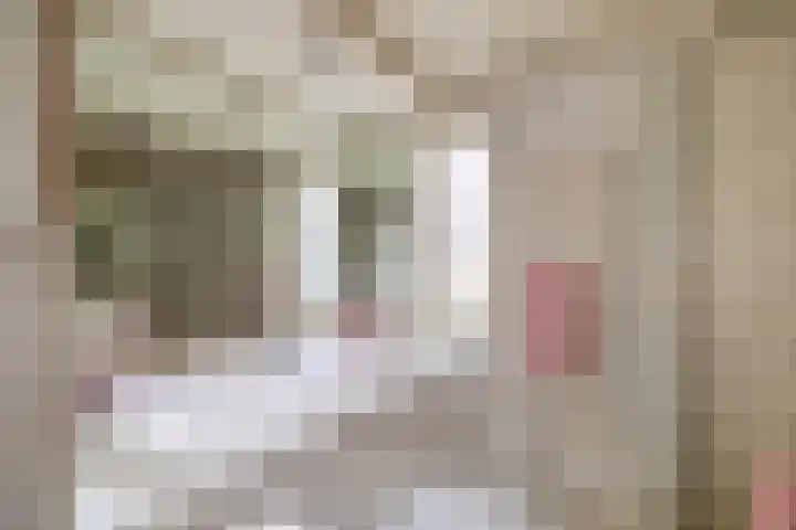 Europastraat 4 Krommenie thumbnail 21