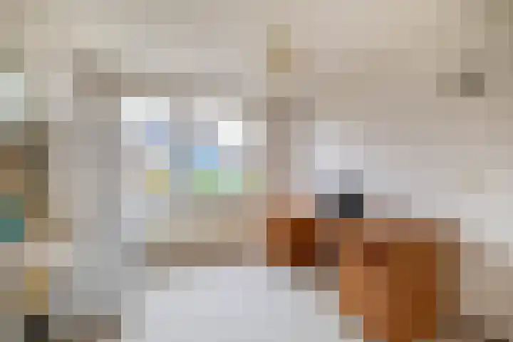 Europastraat 4 Krommenie thumbnail 25