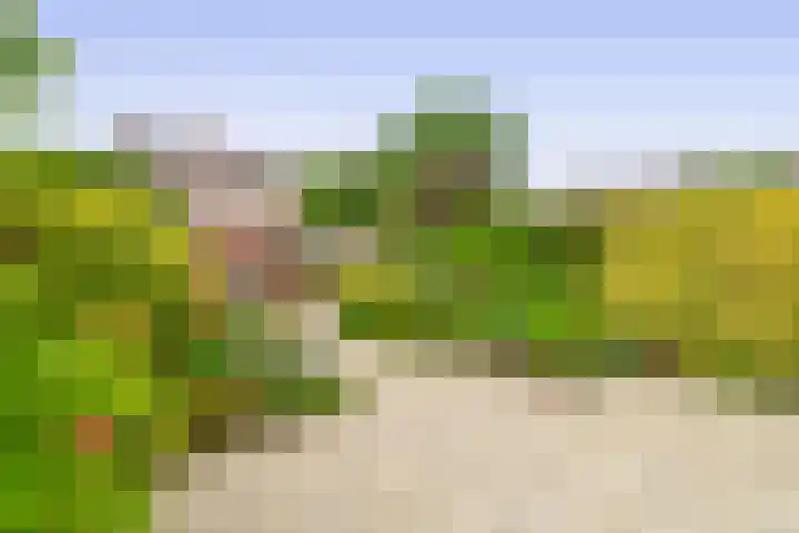 Europastraat 4 Krommenie thumbnail 33