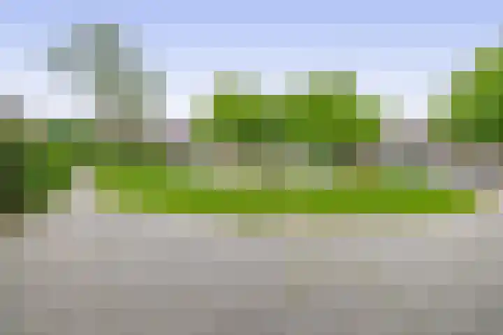Europastraat 4 Krommenie thumbnail 38