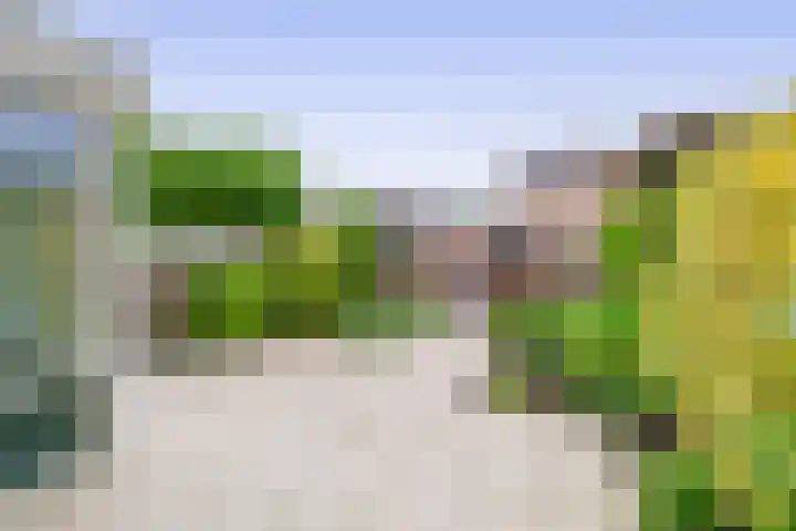Europastraat 4 Krommenie thumbnail 4