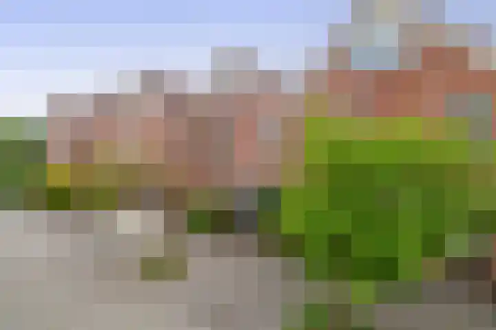 Europastraat 4 Krommenie thumbnail 5