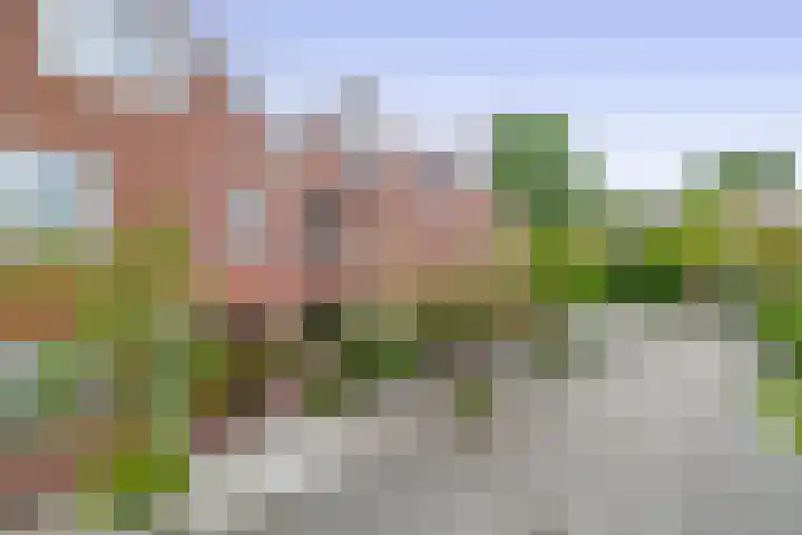 Europastraat 4 Krommenie thumbnail 6