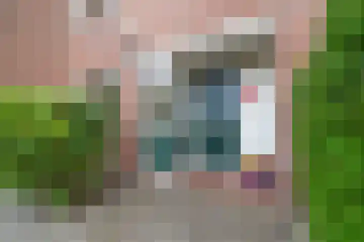 Europastraat 4 Krommenie thumbnail 7