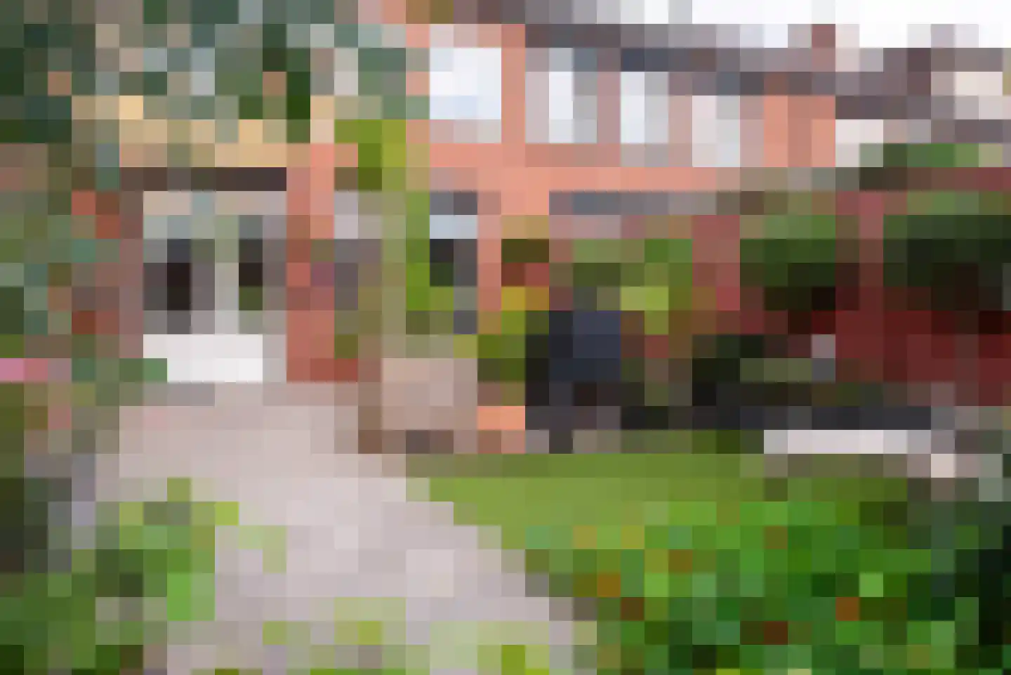 Europastraat 4 Ossendrecht thumbnail 30