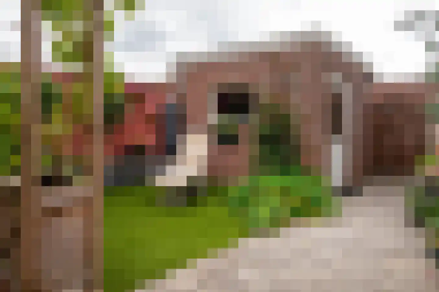 Europastraat 4 Ossendrecht thumbnail 31