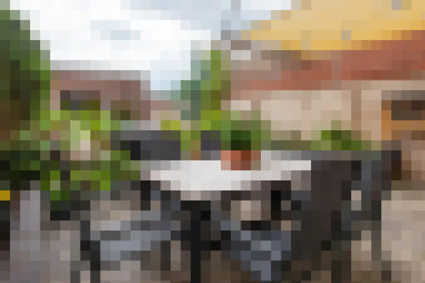 Europastraat 4 Ossendrecht thumbnail 32