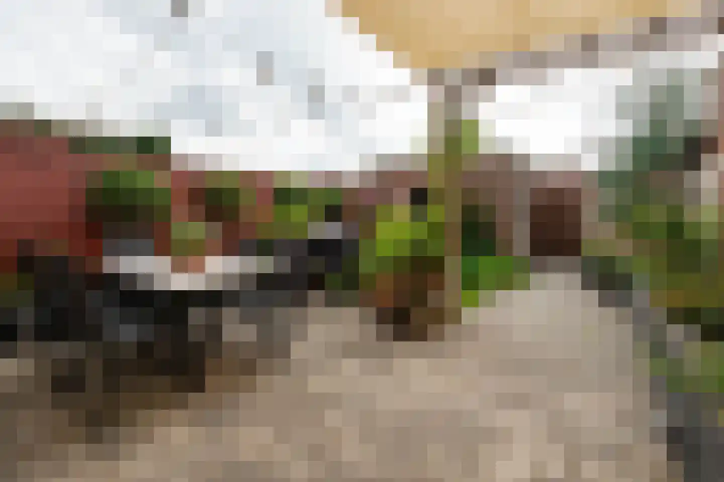 Europastraat 4 Ossendrecht thumbnail 4