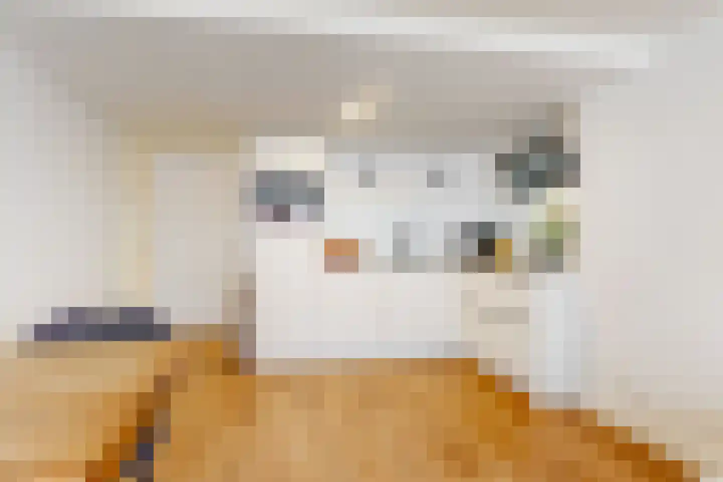 Europastraat 44 Ulestraten thumbnail 10