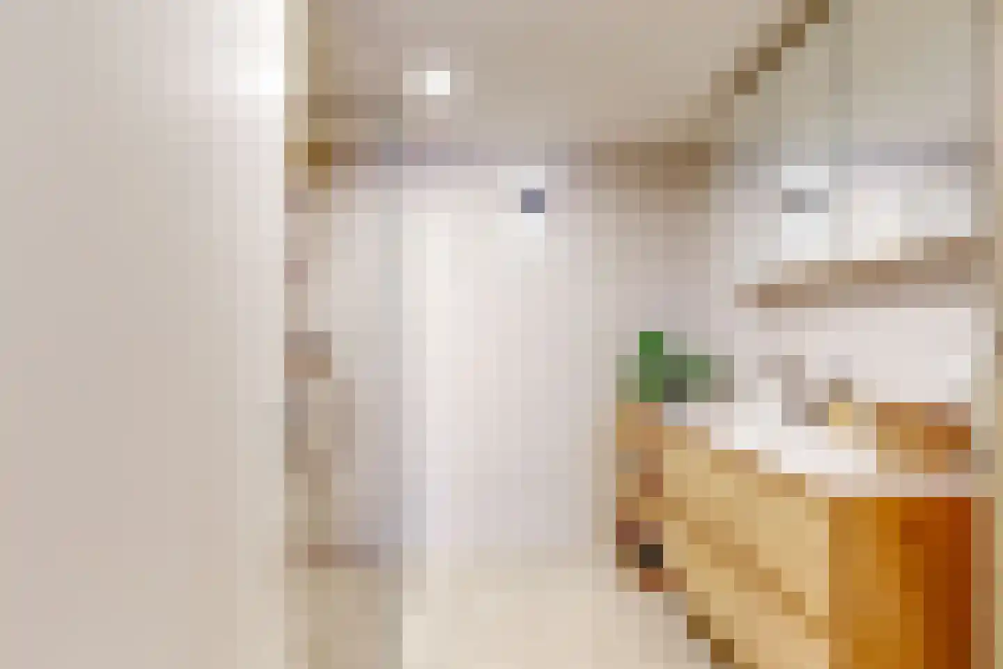 Europastraat 44 Ulestraten thumbnail 15