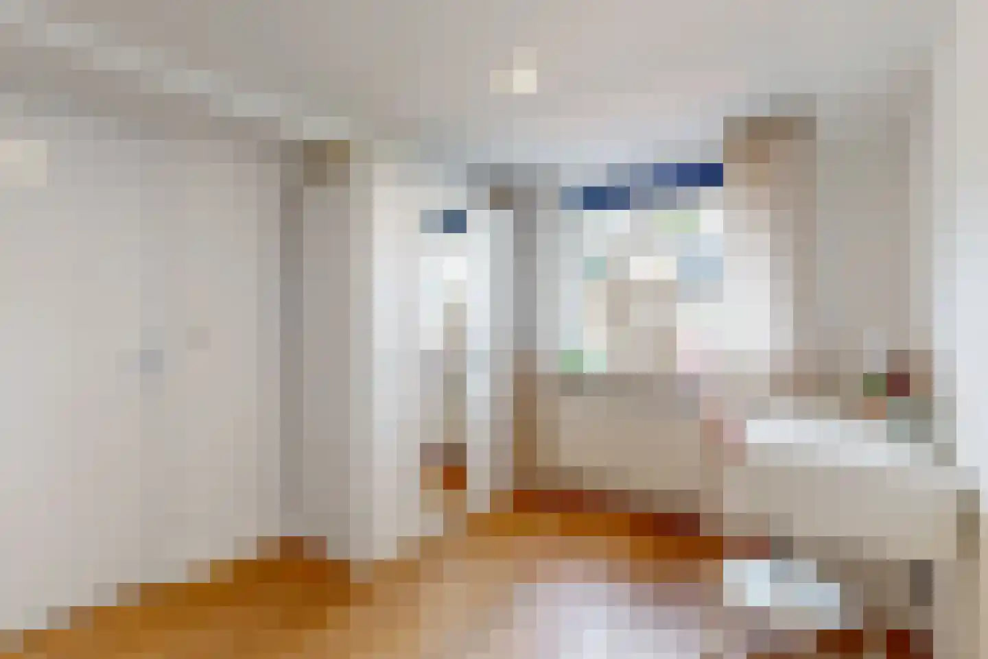 Europastraat 44 Ulestraten thumbnail 20