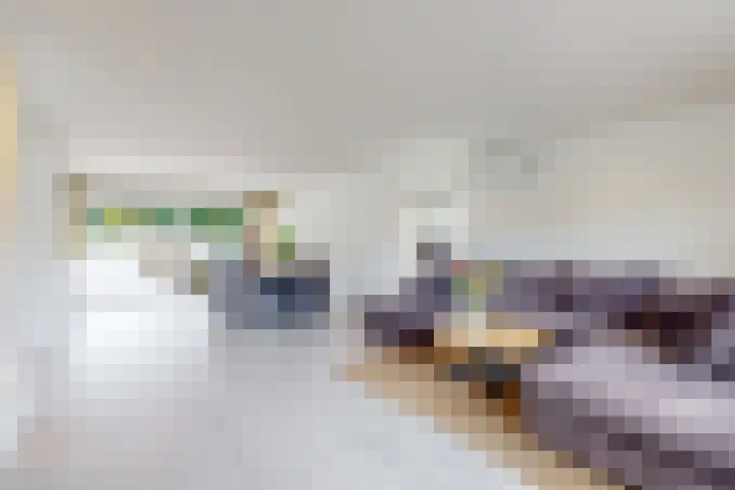 Europastraat 44 Ulestraten thumbnail 24