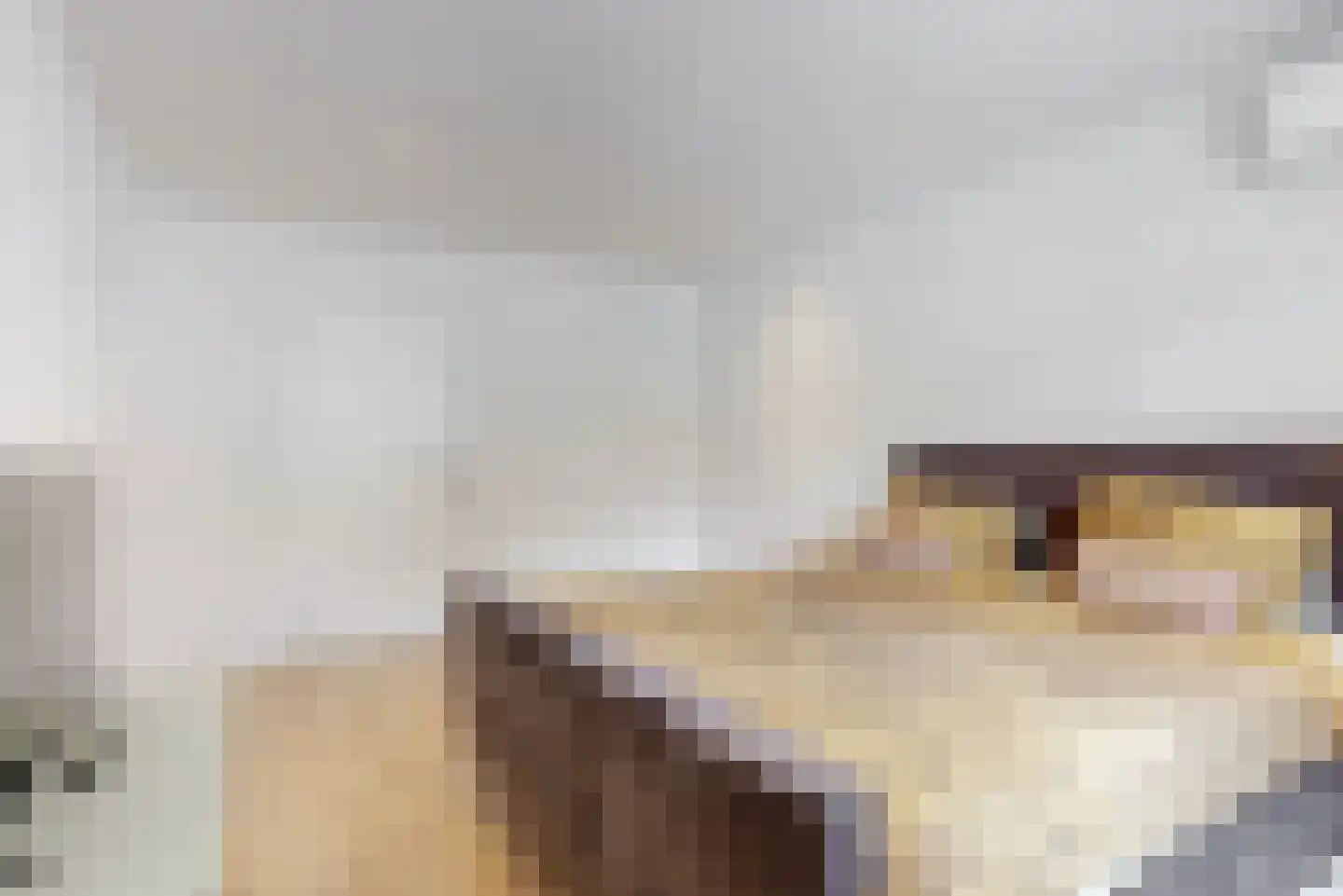 Europastraat 44 Ulestraten thumbnail 35