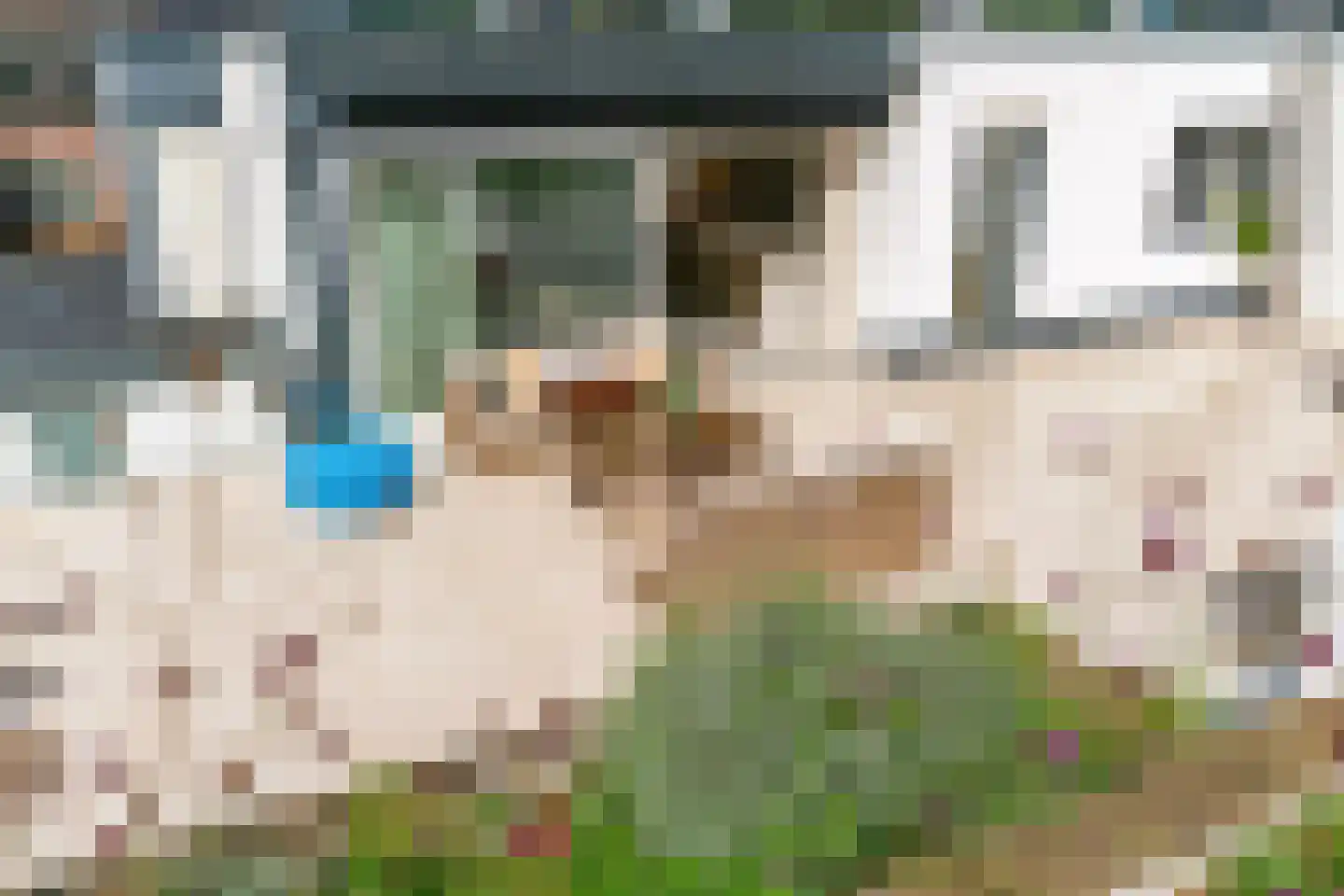 Europastraat 44 Ulestraten thumbnail 54