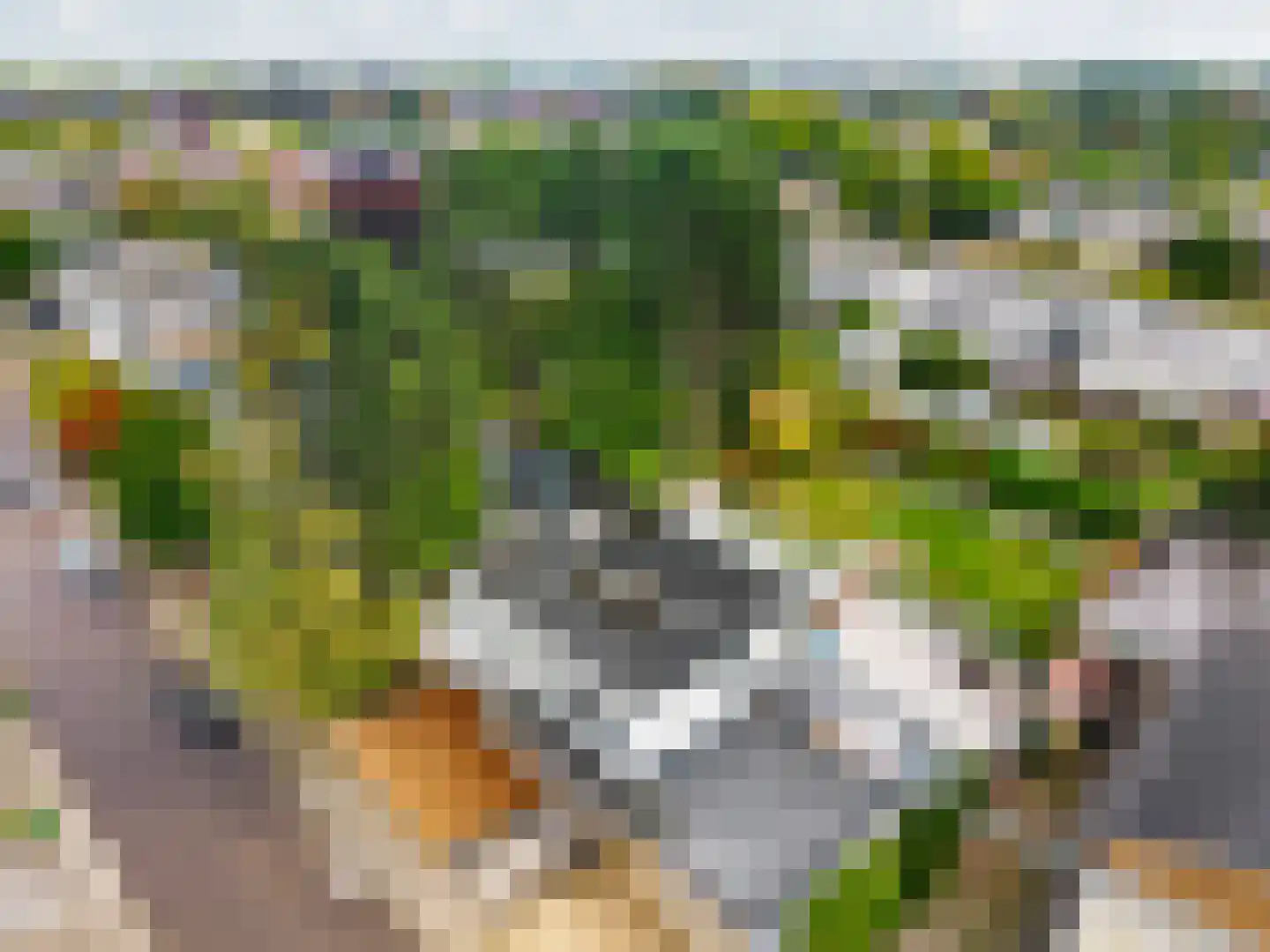 Europastraat 44 Ulestraten thumbnail 61