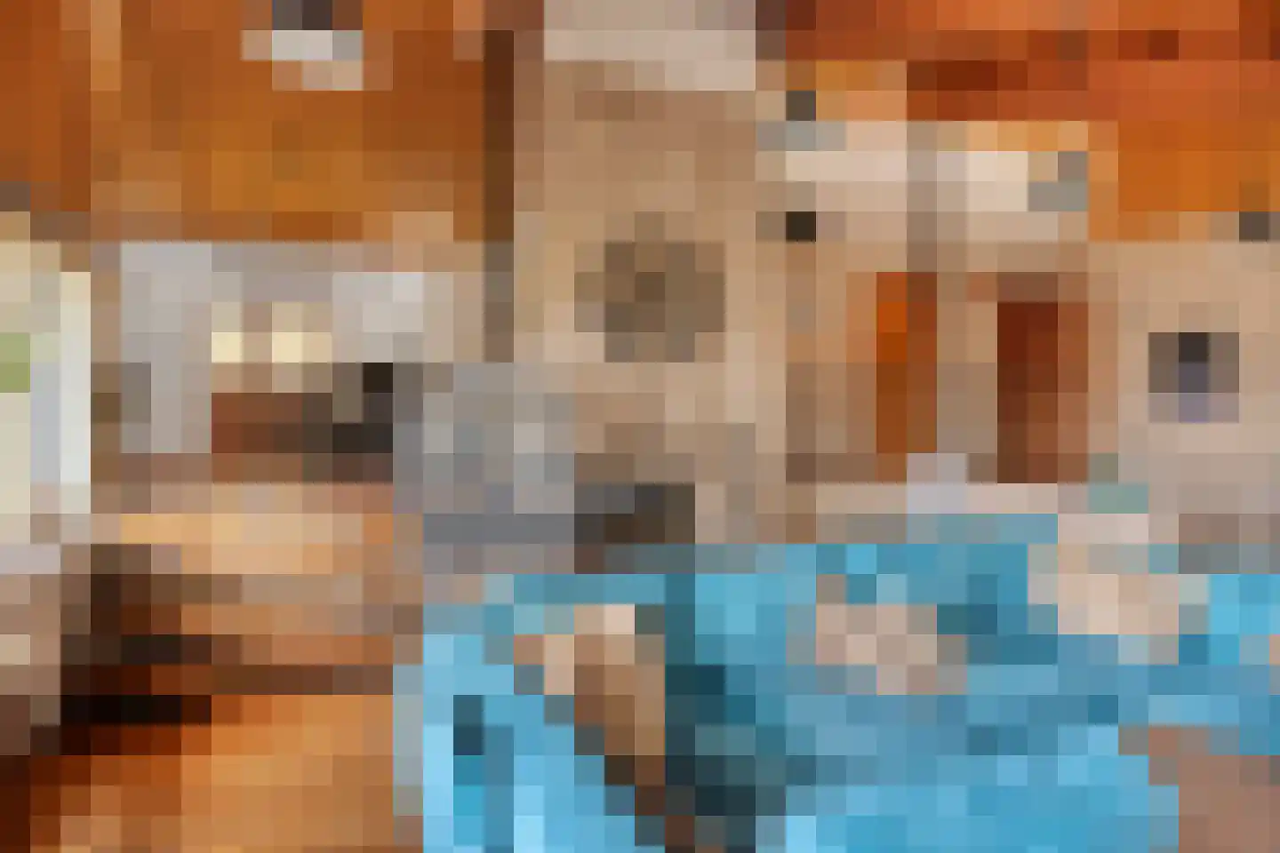 Europastraat 46 Ulestraten thumbnail 13