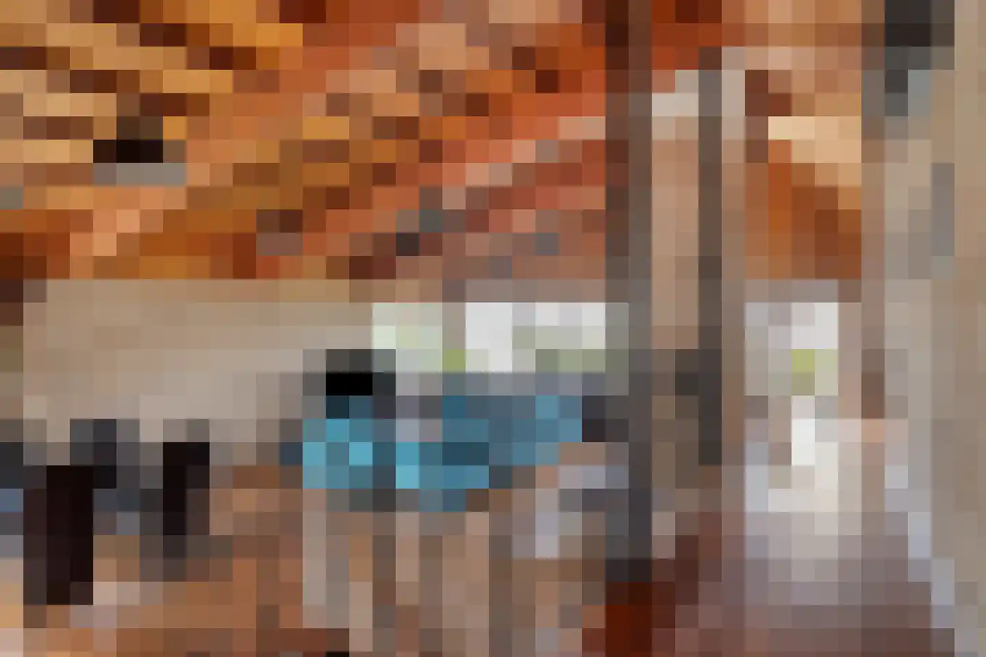 Europastraat 46 Ulestraten thumbnail 14