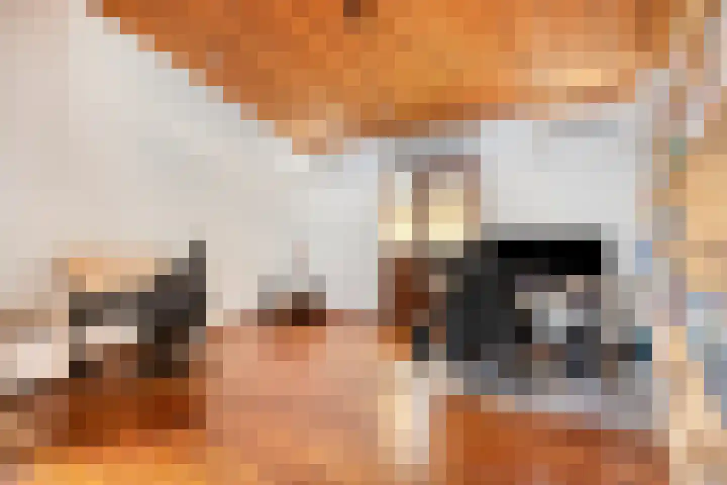 Europastraat 46 Ulestraten thumbnail 15