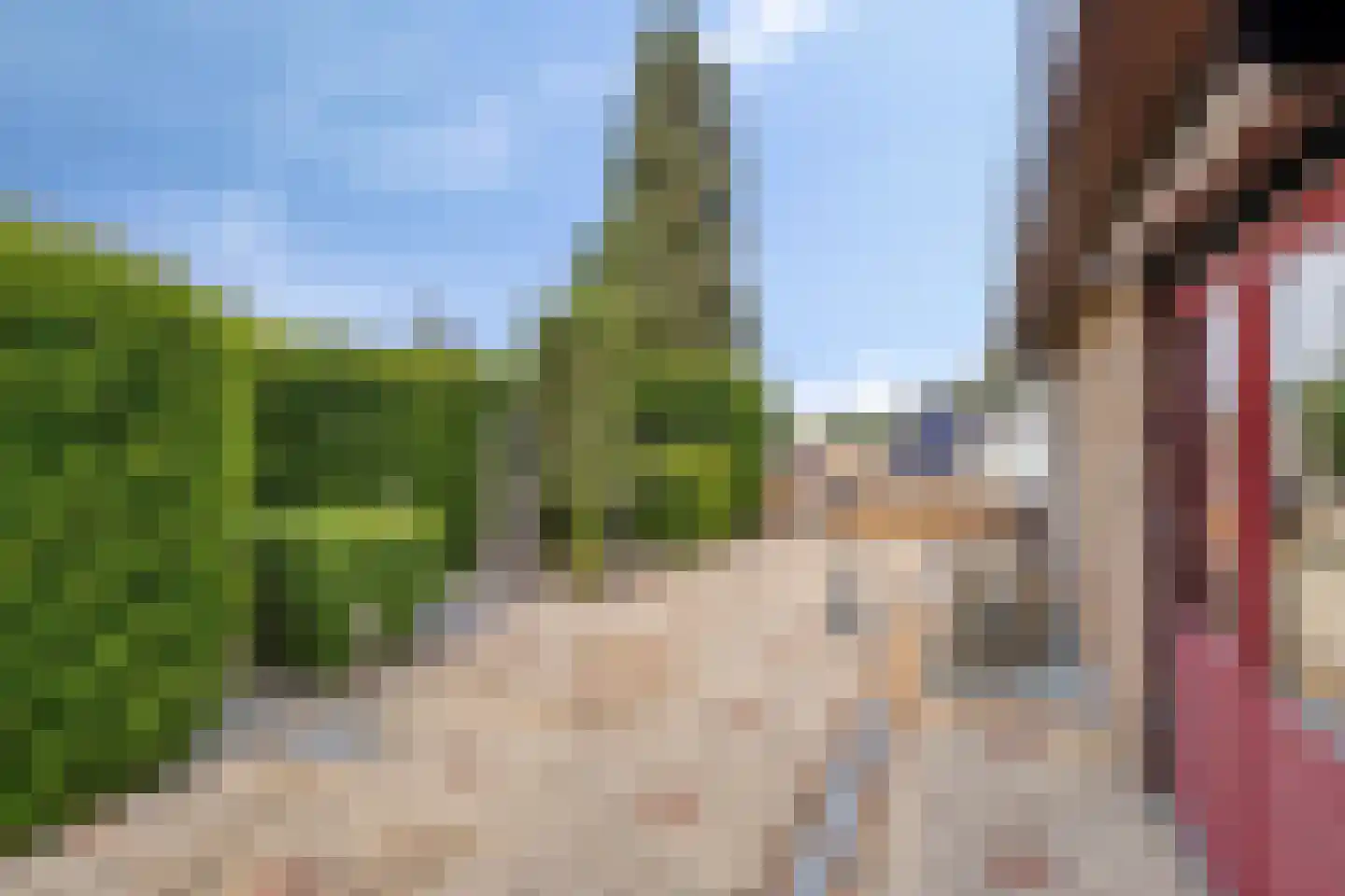 Europastraat 46 Ulestraten thumbnail 31