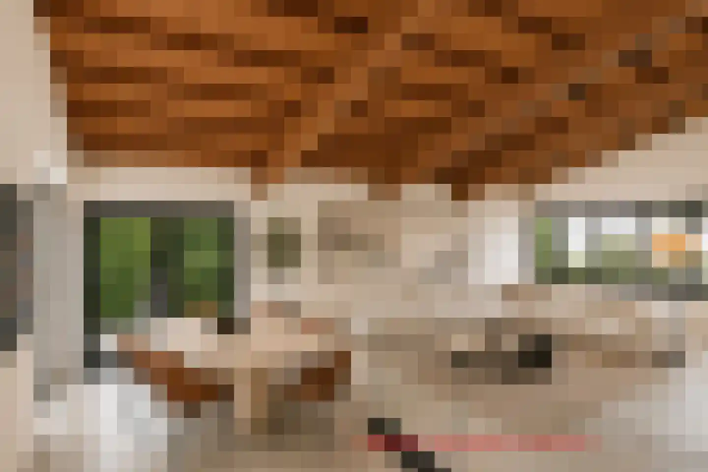 Europastraat 46 Ulestraten thumbnail 4