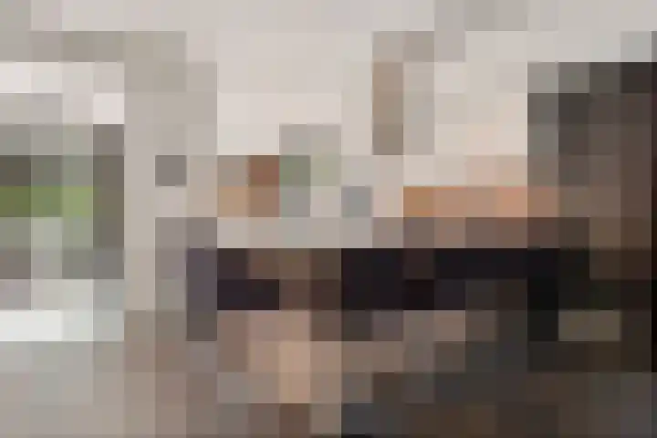 Europastraat 50 Borne thumbnail 11