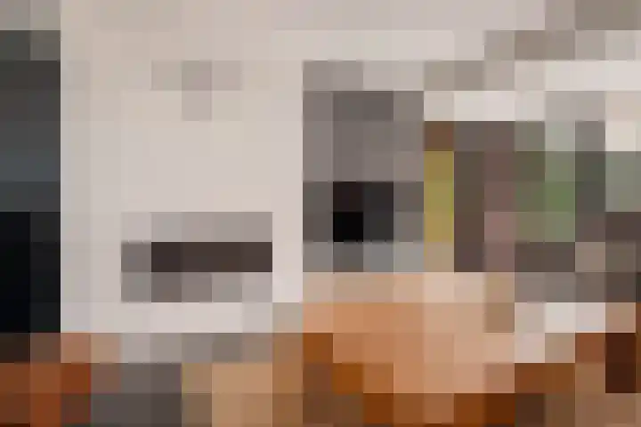 Europastraat 50 Borne thumbnail 21