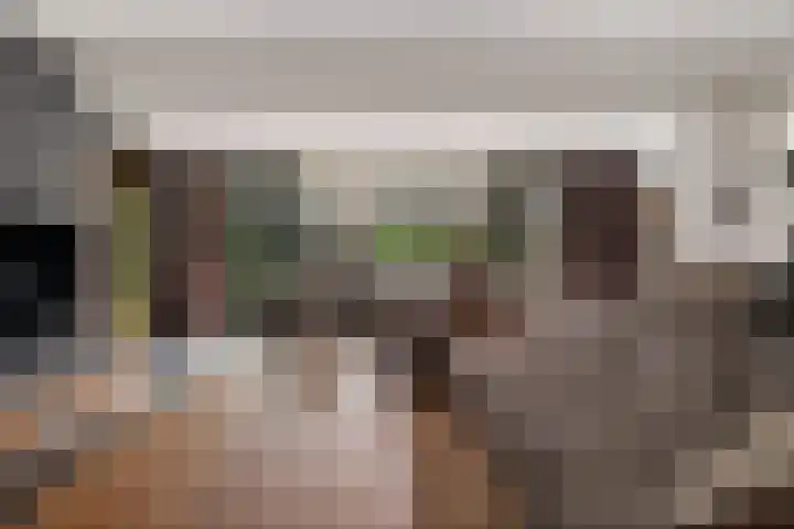 Europastraat 50 Borne thumbnail 22