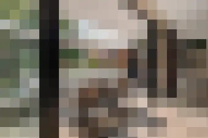 Europastraat 50 Borne thumbnail 25