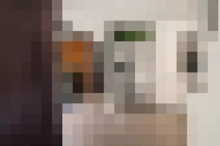 Europastraat 50 Borne thumbnail 27