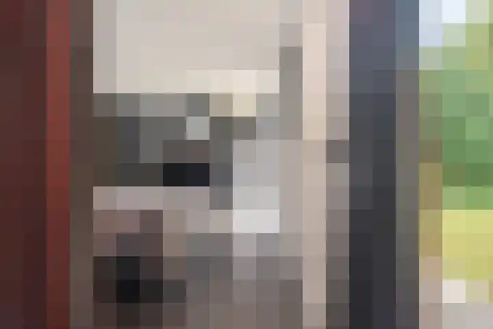 Europastraat 50 Borne thumbnail 34