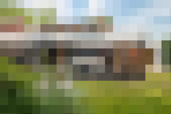Europastraat 50 Borne thumbnail 4