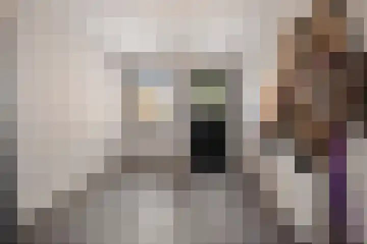 Europastraat 50 Borne thumbnail 45