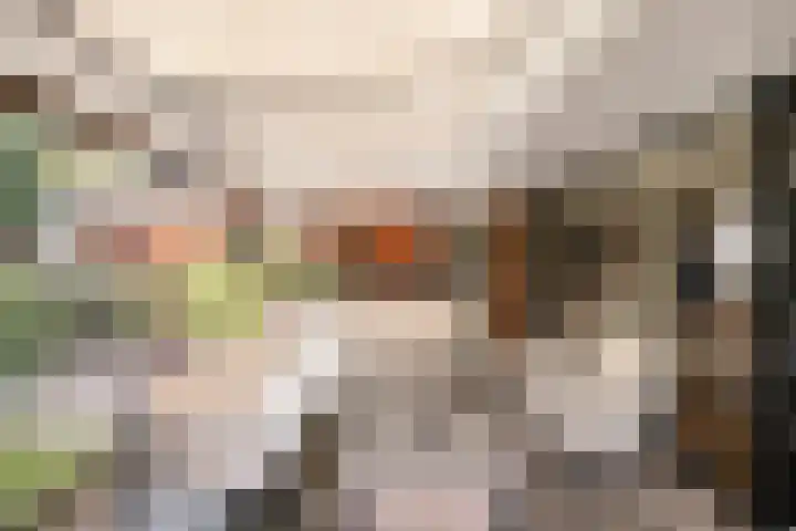 Europastraat 50 Borne thumbnail 49