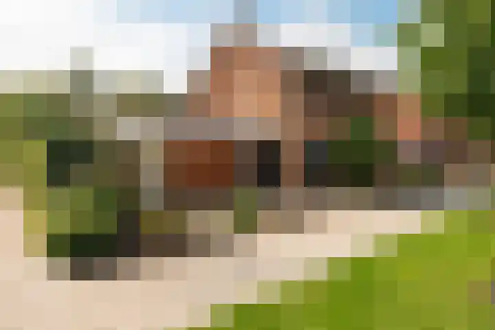 Europastraat 50 Borne thumbnail 5