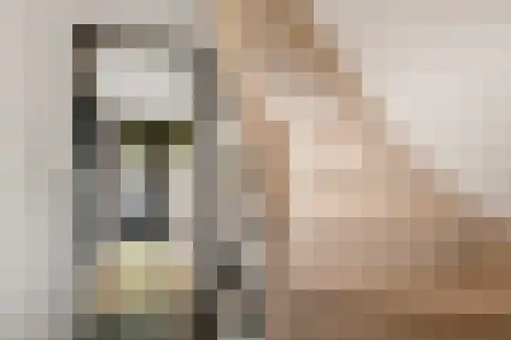 Europastraat 50 Borne thumbnail 59