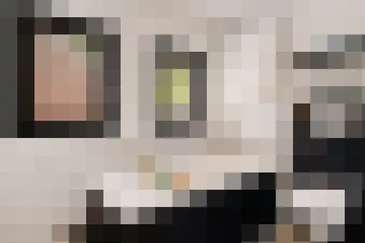 Europastraat 50 Borne thumbnail 61