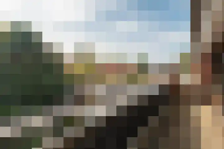 Europastraat 50 Borne thumbnail 68