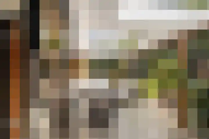 Europastraat 50 Borne thumbnail 71