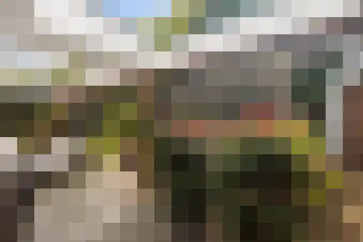 Europastraat 50 Borne thumbnail 72
